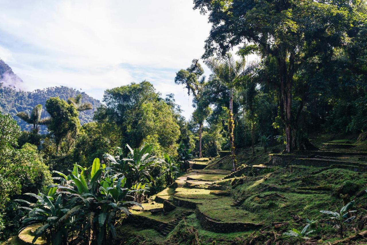 Finca Cuipo Buritaca Εξωτερικό φωτογραφία